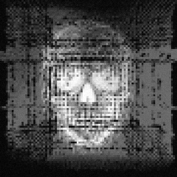THE HIDDEN WITNESS logo